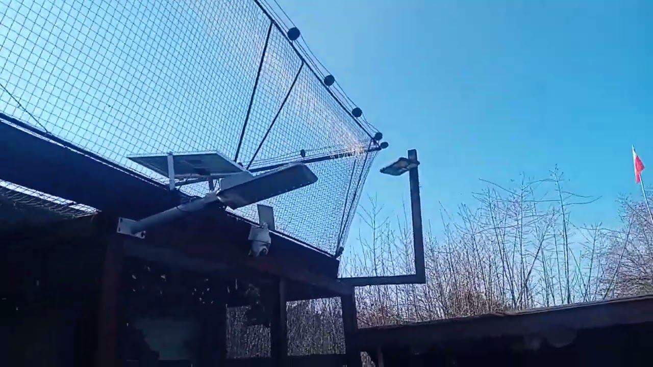 Wiosna w Elblągu Pozdrowionka najlepszego pozdrawiam 😁👌🤙