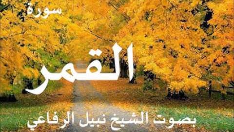 سورة القمر بصوت الشيخ نبيل الرفاعي 54
