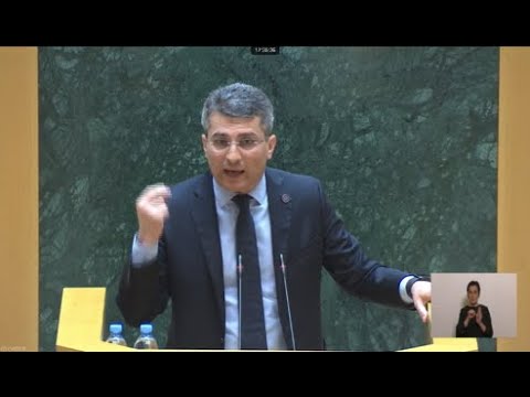 ვიდრე მიშას არ ეახლეთ,  ელემენტარული გადაწყვეტილება ვერ მიიღეთ, ეს არის მონური მორჩილება - მდინარაძე