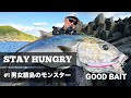 男女群島のモンスターカンパチ【STAY HUNGRY #1】 【GOOD BAIT】