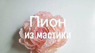 видео: Пион из мастики без проволоки, полностью съедобный👌 картинка: Пион из мастики без проволоки, полностью съедобный👌
