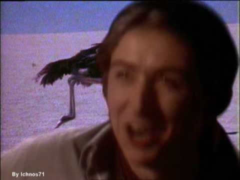 Talk Talk - It's My life (US version)