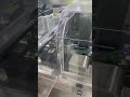 pillow bag or flow bag cartoning machine or cartoner machine with linkage conveyor to pillow packer