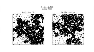 Single Spin Flip and Wolff Algorithm on 2D Ising Model