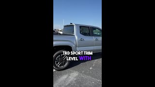 2026 Toyota Tacoma TRD Sport Walkaround Preview