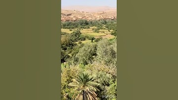 الآية الكريمة من سورة البقرة (الآية 201):*📌 العنوان: دعاء شامل لخيري الدنيا والآخرة**📝