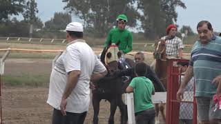 Sexta carrera -Hipodromo Bell Ville 31/03