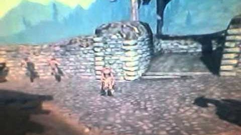 Skyrim fails headless companion member