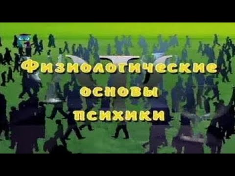 Физиологические основы психики