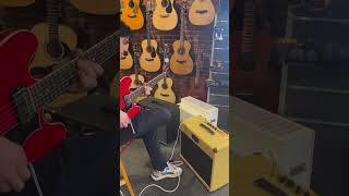 Bluesy Notes On The Koch Little Gristle.