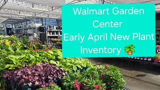 Walmart Garden Center - Early April New Plant Inventory. Nice Plants. Georgia 8a. 🪴 