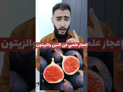 معجزة التين والزيتون في القرآن الكريم