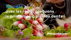 Terroir : avec les radis, croquons le printemps à pleines dents !