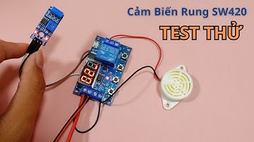 Cảm Biến Rung SW420 | Điện tử DAT