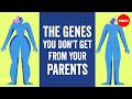 The genes you don't get from your parents (but can't live without) 