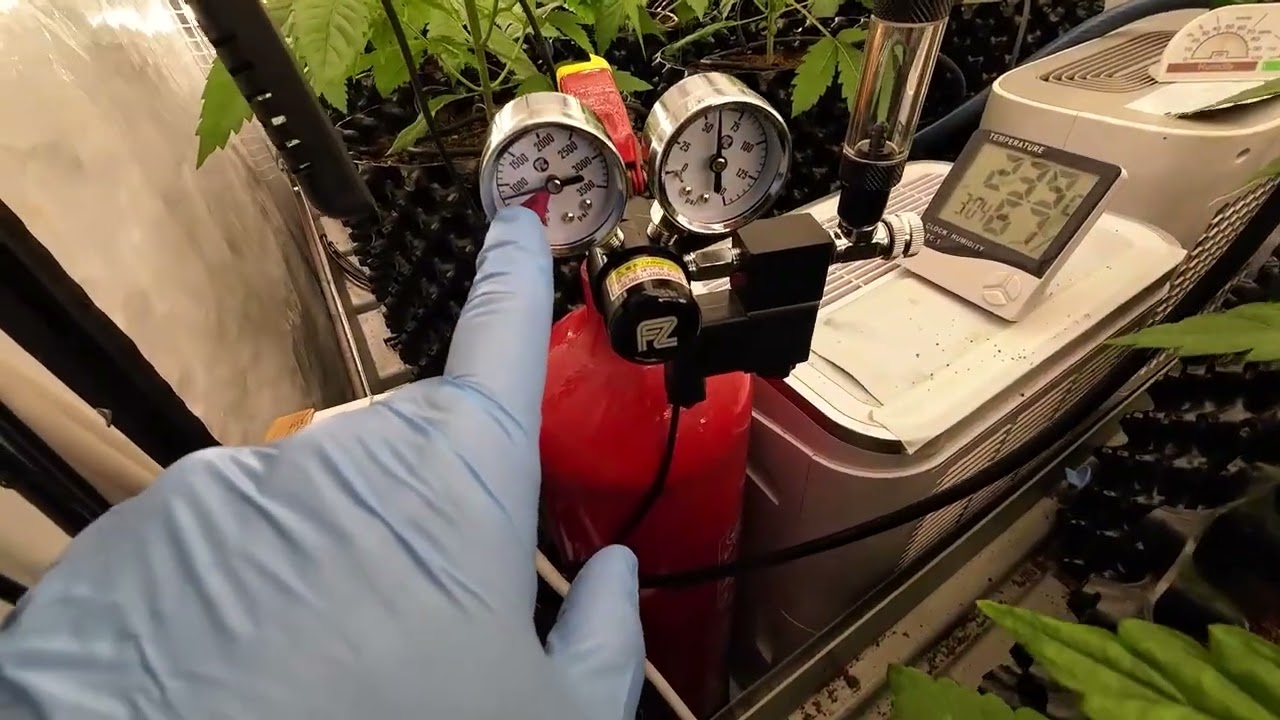 Мой гроубокс V3 и обновления (закрытый цикл) - Homebox R240 plus