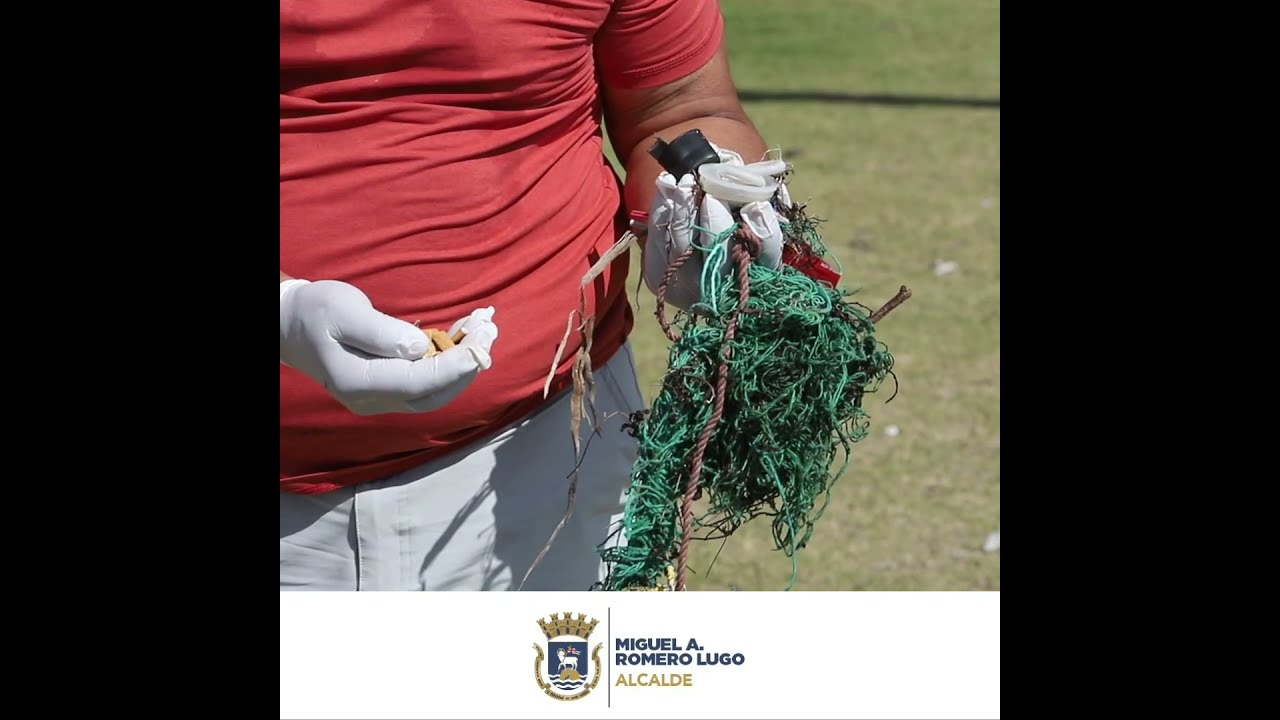 Limpieza marina - Scuba Dog Society