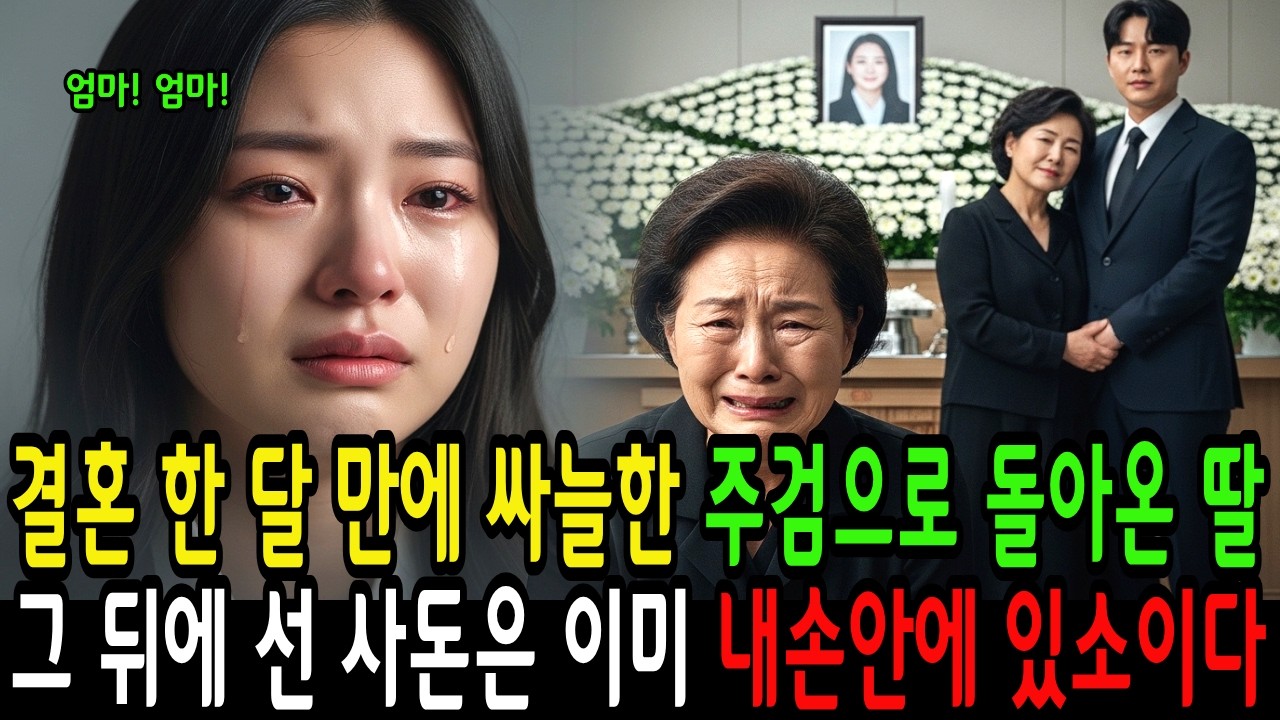 결혼 한 달 만에 싸늘한 주검으로 돌아온 딸, 그 뒤에 선 사돈은 이미 내손안에 있소이다 |오디오북 | 시니어사연 | 인생사연 | 감동사연