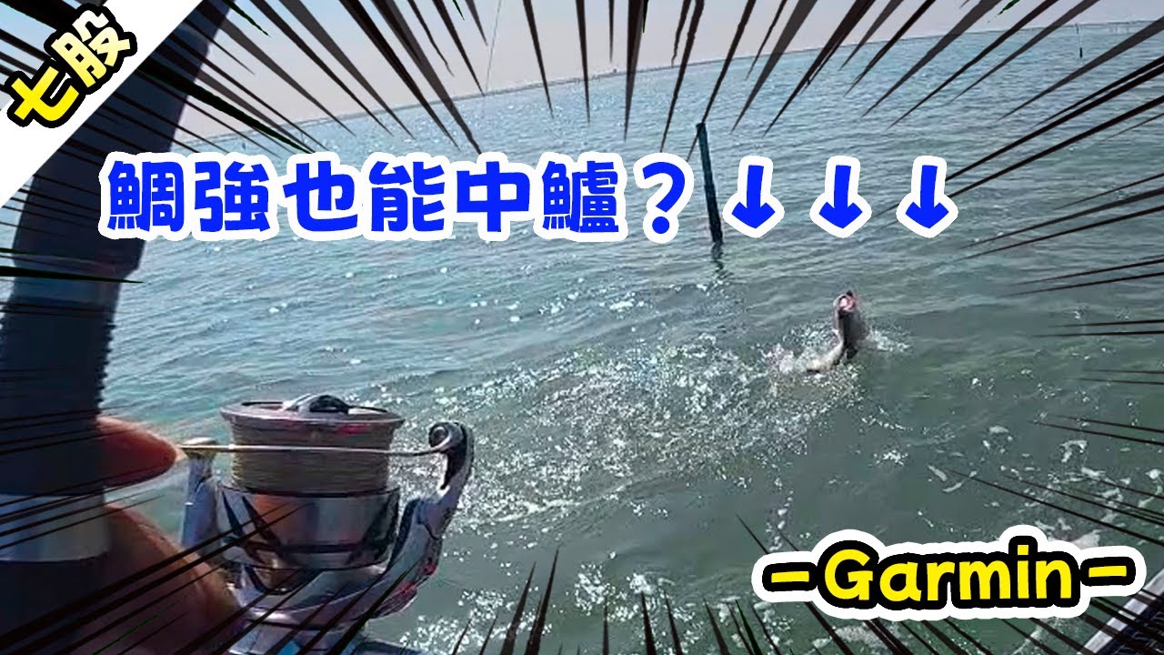 【七股】鯛強中鱸魚，鎖死硬碰硬的快感  #garmin  #ForceCurrent #路亞 #台南 #獨木舟 #kayakfishing  #黑鯛 #kayak  #頂流機