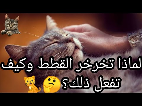 فيديو: أثناء الحماية الكاثودية الأنود الذبيحي؟