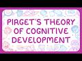 Psychology - Piaget's Theory of Cognitive Development
