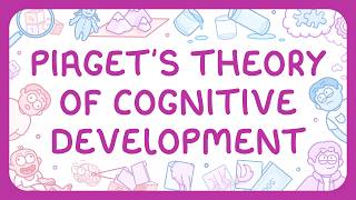 Psychology - Piaget's Theory of Cognitive Development