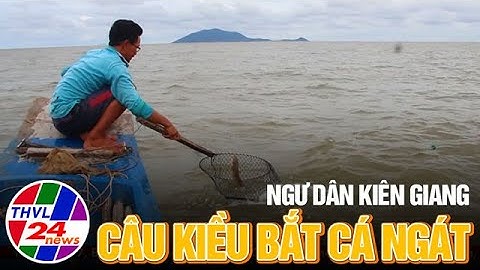Ngư dân Kiên Giang câu kiều bắt cá ngát
