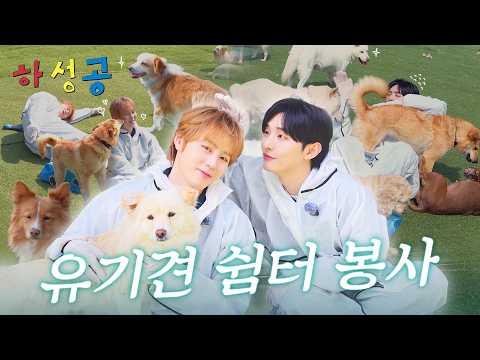 [Ha Seong-gong👊] Abandoned Dog Shelter Volunteering Episode | I Opened My Heart and I Am So Happy🐶