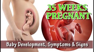 35 Weeks Pregnant: Baby Development, Symptoms \& Signs
