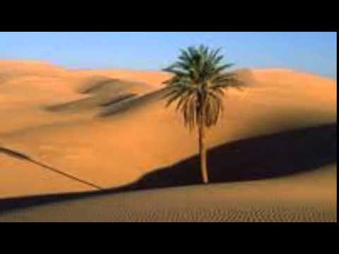 Asaph Borba - Como a Palmeira - Ouvir Música