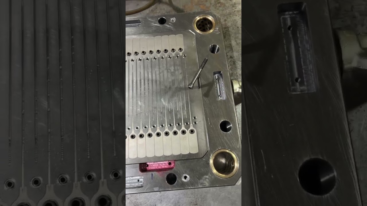 Plastic Seal Mould|  Plastic Security Seal Mould