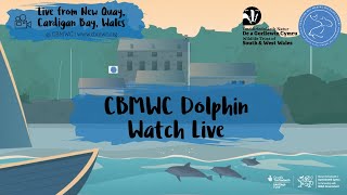 CBMWC Dolphin Watch Live 2026-02-13
