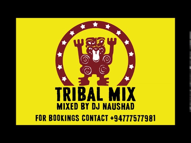 Tribal Mix 2017 (Mixed by DJ Naushad)