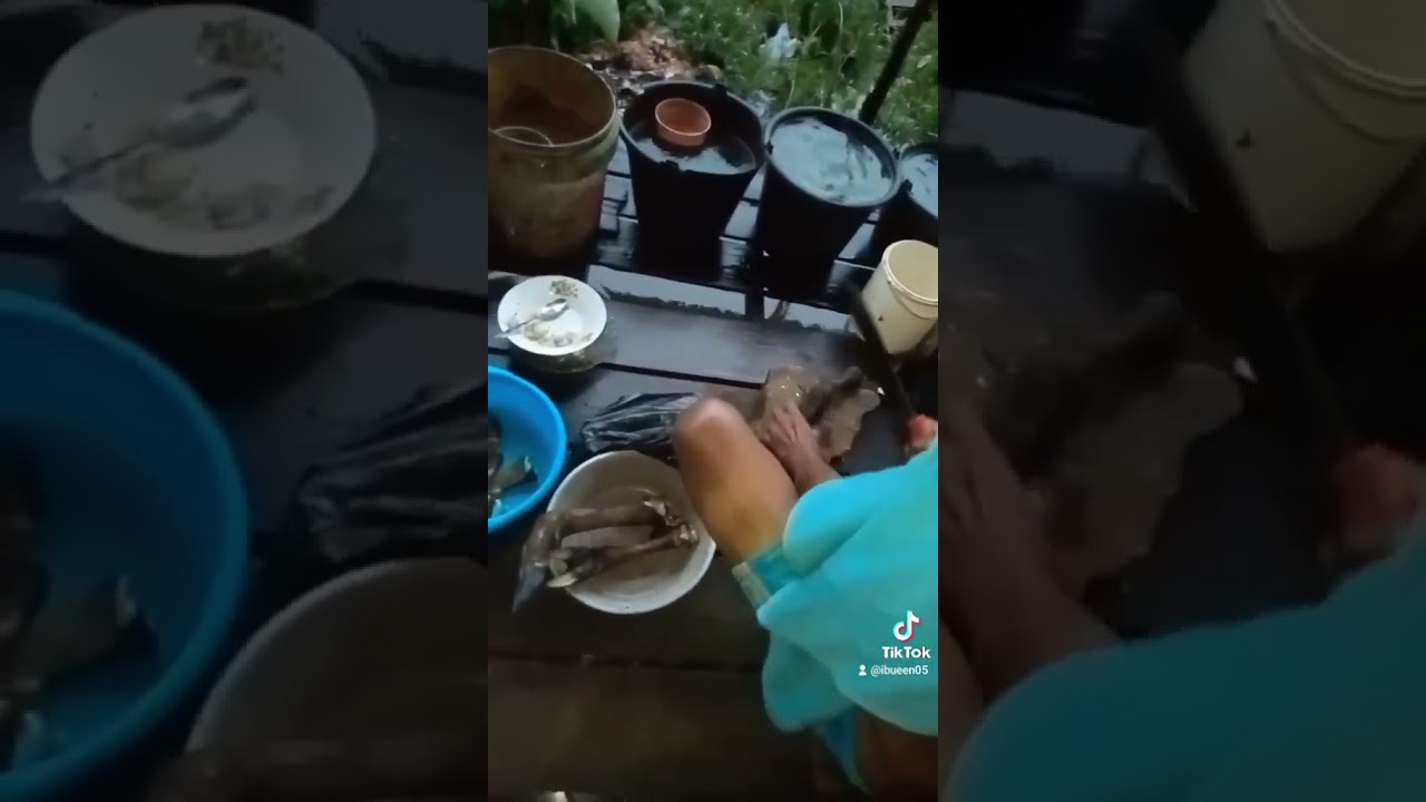 My parents want to cook deer meat 