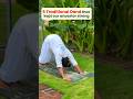 5 Traditional Dand that kept our ancestor strong