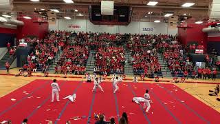 BJHS Taekwondo club 2019-2020 pep rally video!