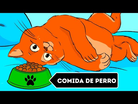 Video: Cachorro tratando de comer una imagen de un hueso es pura belleza