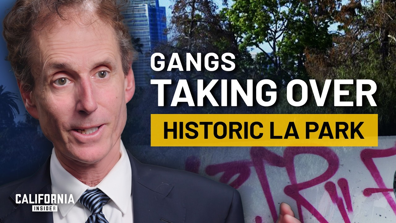 How MacArthur Park Became LA’s Most Dangerous Spot. Property Owner Explains | John Alle