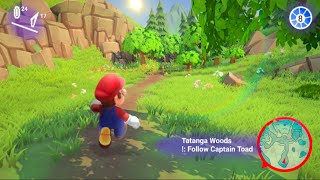 What could be the new 3d Mario game.