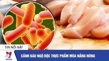 Tin y tế: Cảnh báo ngộ độc thực phẩm mùa nắng nóng - VNEWS