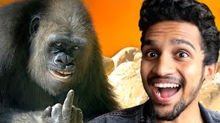 Extreme Random Funny Videos