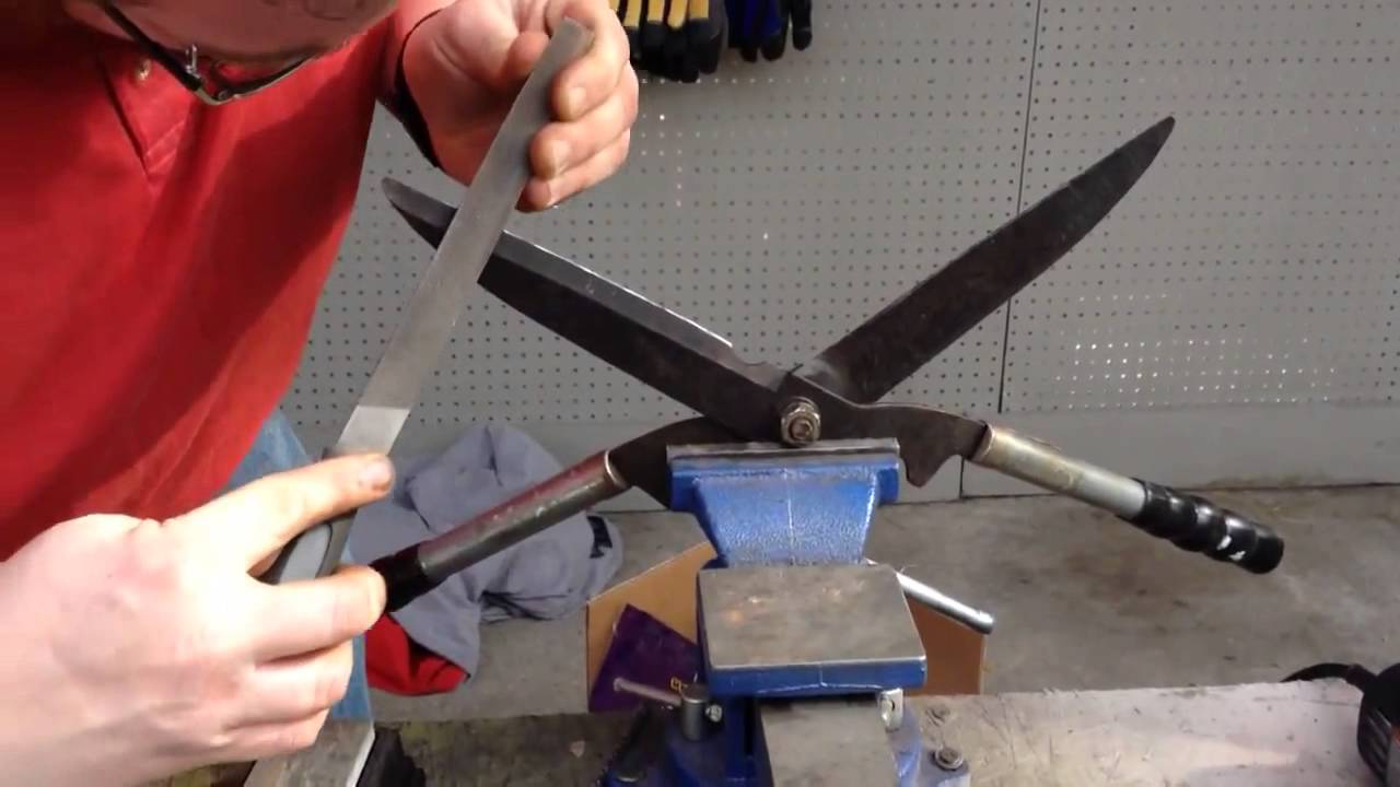 How To Sharpen Hedge Clippers Youtube