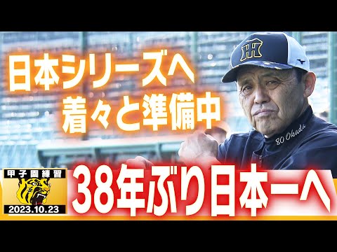 【日本Ｓへ向け準備中！】選手たちがオリックスとの日本シリーズへ向け着々と準備中！岡田阪神が京セラドーム＆甲子園で昨年王者を迎え撃つ！阪神タイガース密着！応援番組「虎バン」ABCテレビ公式チャンネル