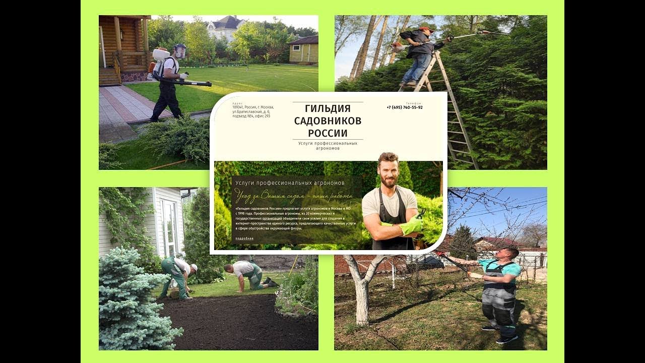 Услуги садовников - YouTube
