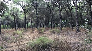 Hammock - In The Middle Of This Nowhere