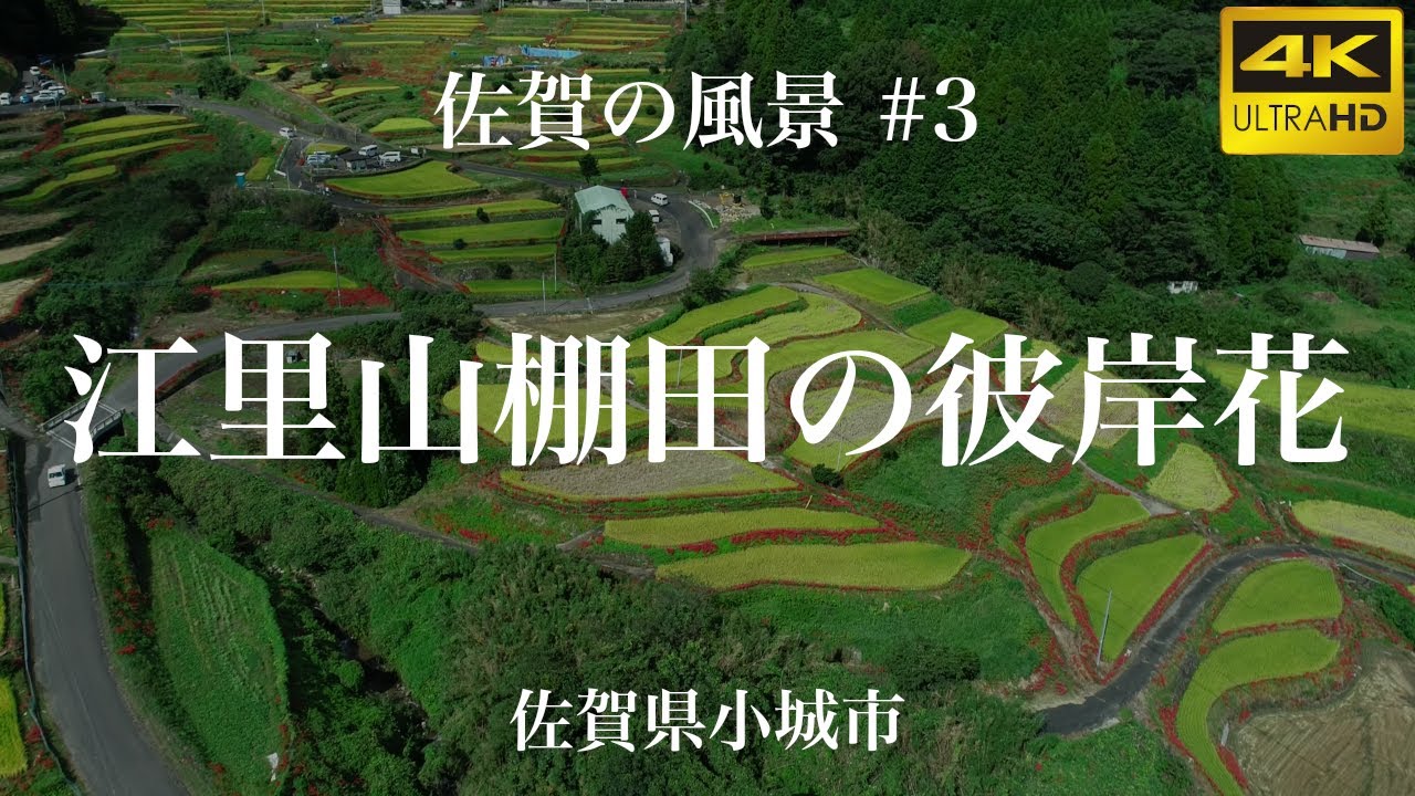空撮 4k 佐賀の風景 3 江里山の棚田 彼岸花 江里山のひがん花 佐賀県小城市 Youtube 空撮 4k 佐賀の風景 3 江里山の棚田 彼岸花 江里山のひがん花 佐賀県小城市 Youtube