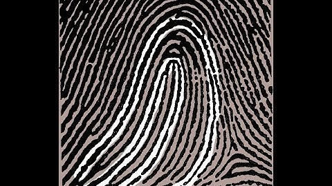 Fingerprinting Gone Wrong: The Madrid Bombings