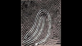 Fingerprinting Gone Wrong: The Madrid Bombings