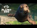 PLANET ZOO - NOVA DLC - AQUATIC PACK - Iniciando o Zoológico com FOCAS e PINGÜINS