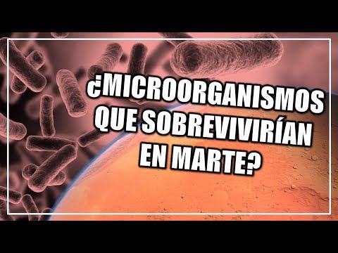 La Ciencia detrás de